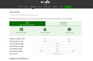 Nodejs HomePage | Angular 7 Environment Setup